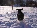 PICT0045