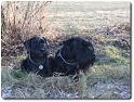 Genny,Max_08_2
