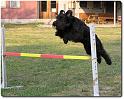 Agility
