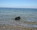 Fredericia_5